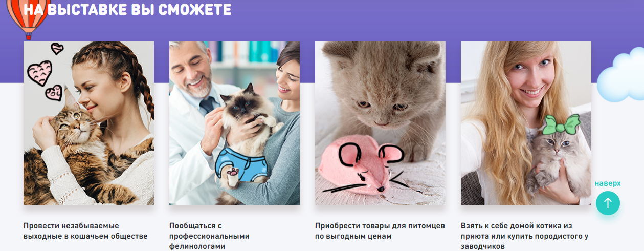 вы сможете